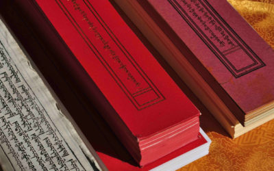 Shedra 2026 Cycles I – II- III