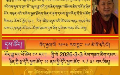 Conférence à Schoten